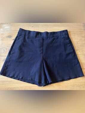 ARITZIA, Babaton Conan Shorts, Size Large, Navy Blue Dress Shorts